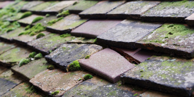 Sedrup roof repair costs